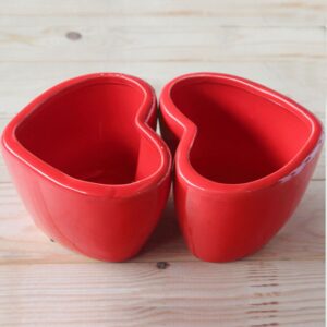 Maceta Corazón Rojo