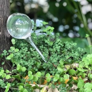 Gota Autorriego para maceteros